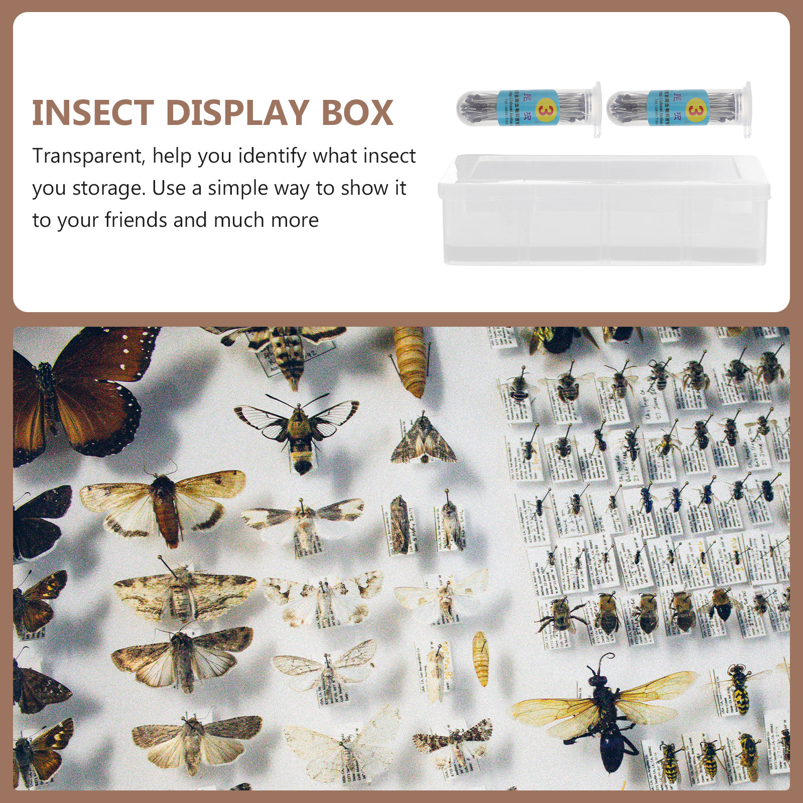1Set Transparent Specimen Box  - огляд і ціна Collectors Coins Jewelry & Watches Of Smithtown Reviews