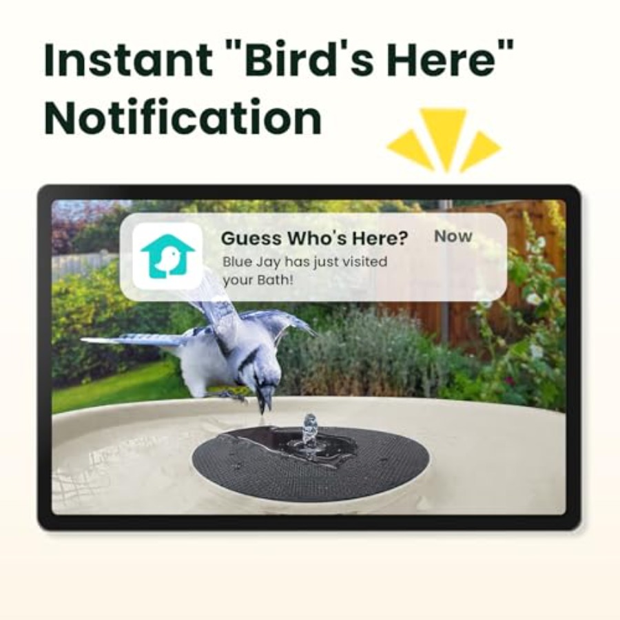 Bird Watching Smart Bird Bath  - огляд і ціна Watches & Jewelry Tsukiu