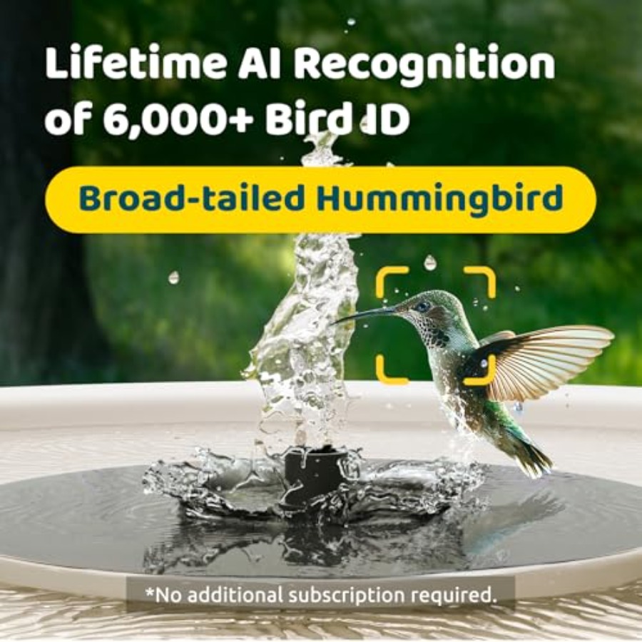 Bird Watching Smart Bird Bath  - огляд і ціна Watches & Jewelry Tsukiu